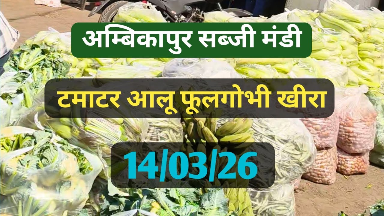 अम्बिकापुर सब्जी मंडी आज का ताजा रेट | 14/03/26 