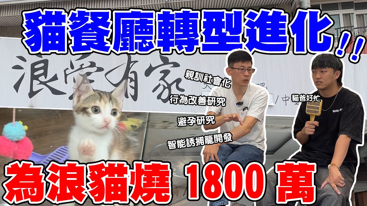 為浪貓燒1800萬，貓餐廳轉型進化！【無聲的毛孩英雄-ep3】
