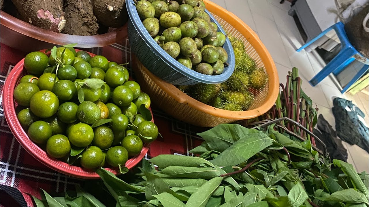 Membaja Sawit ,Dan Mengambil Buah Yang Ada di Kebun