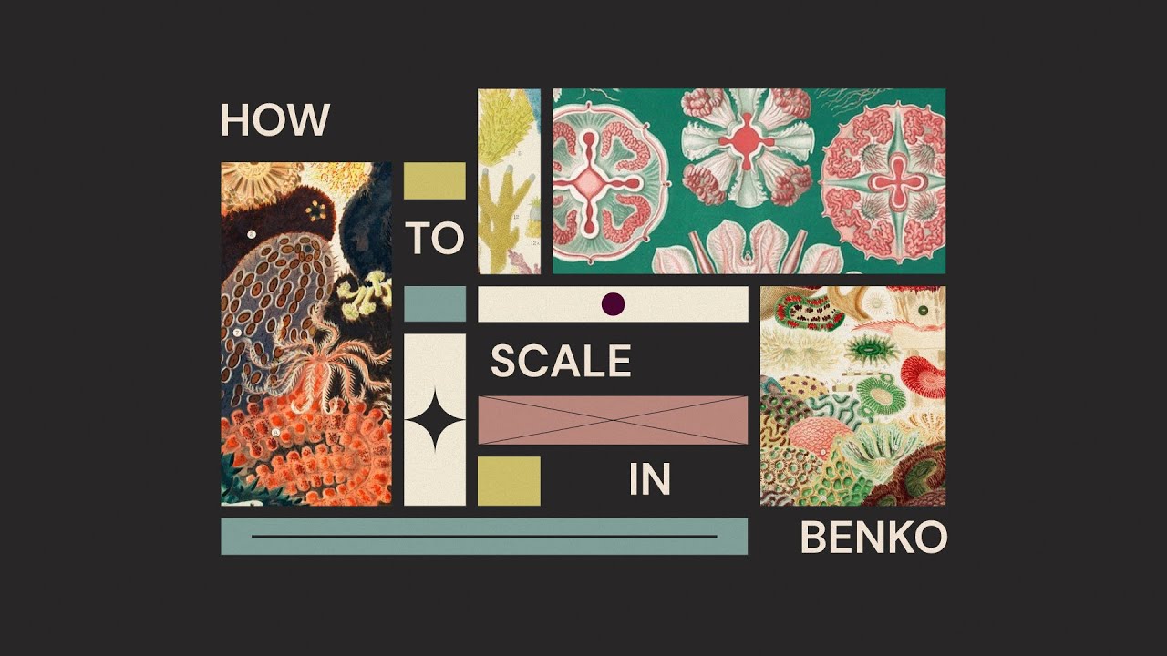 How to scale in benKo | Cavalry App