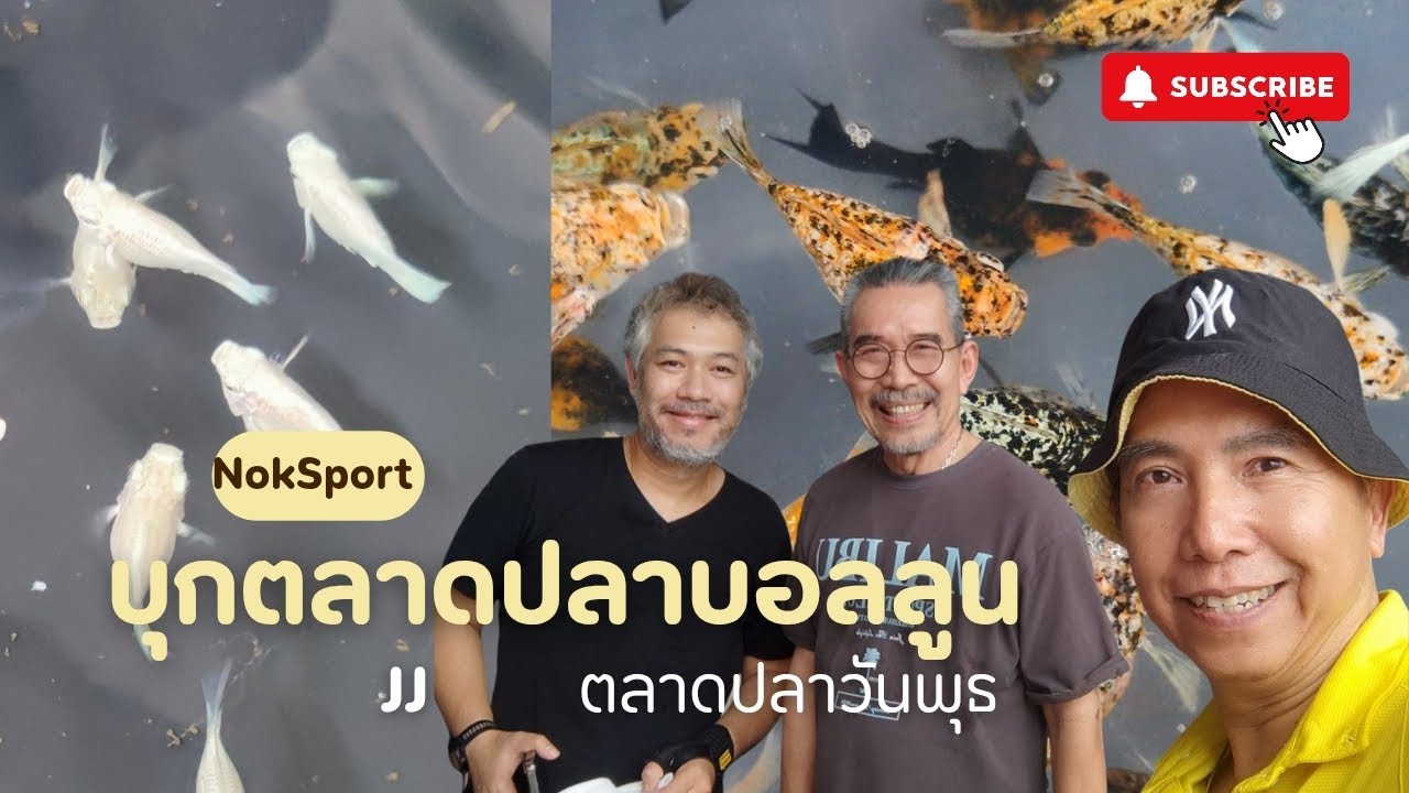 บุกหาปลาบอลลูนสุดน่ารัก กับลุงตุ้ย & พี่แต๋ม ที่ตลาดปลาสวยงามจตุจักร 