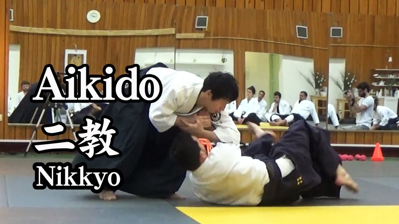 合気道 二教  Aikido technique  - Kata Dori Nikkyo