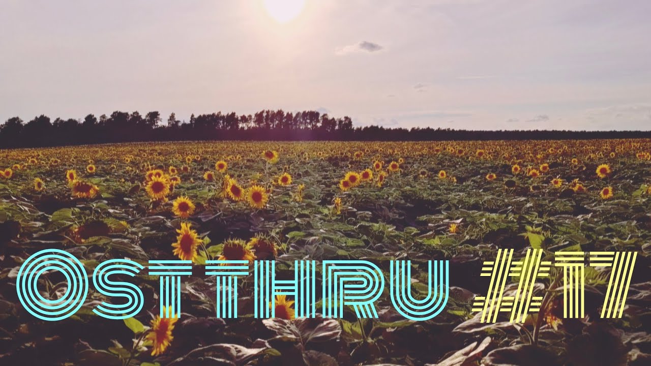 OST THRU | Tag 17