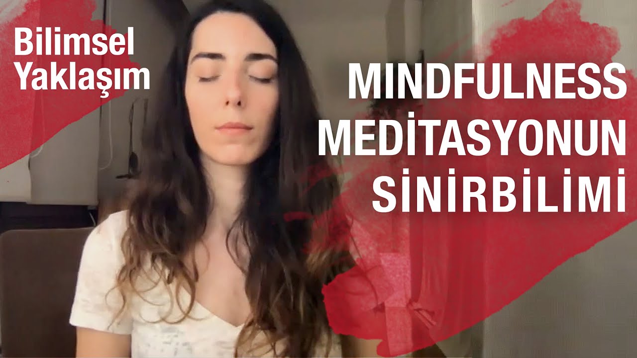 Mindfulness Meditasyonun Sinirbilimi? | Günsu Engin