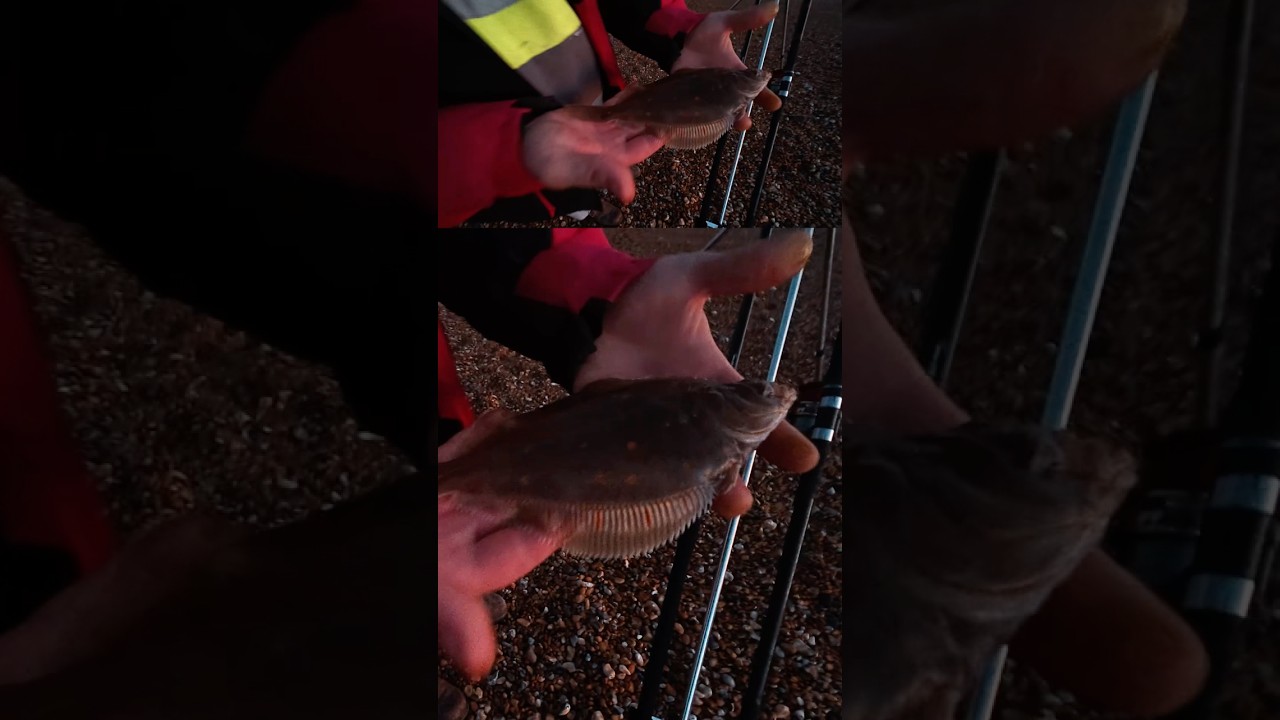 Aaron Breaks His Blank with a Baby Plaice | Fishing Fun