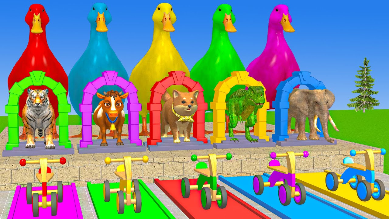 Long Slide Game With Cow Elephant Gorilla Hippopotamus Tiger - 3d Animal Game - Funny 3d Animals