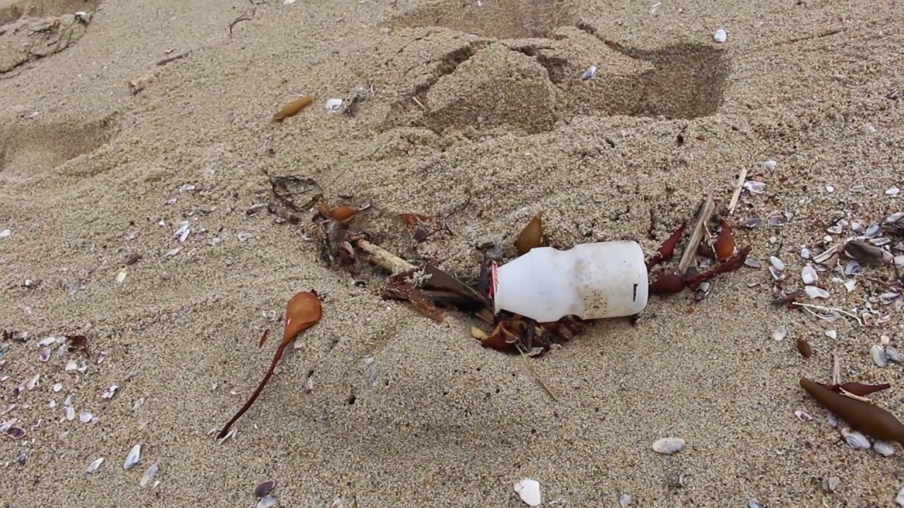 A Video Essay About Plastic Usage