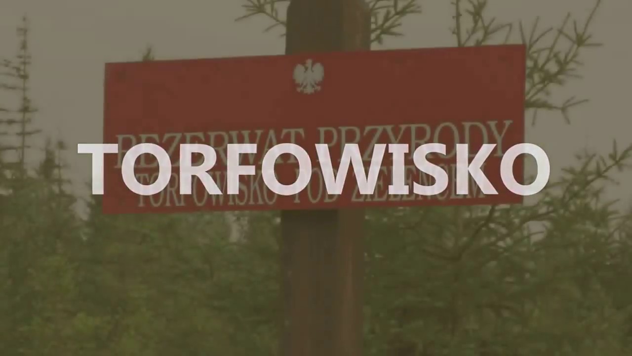 TORFOWISKO