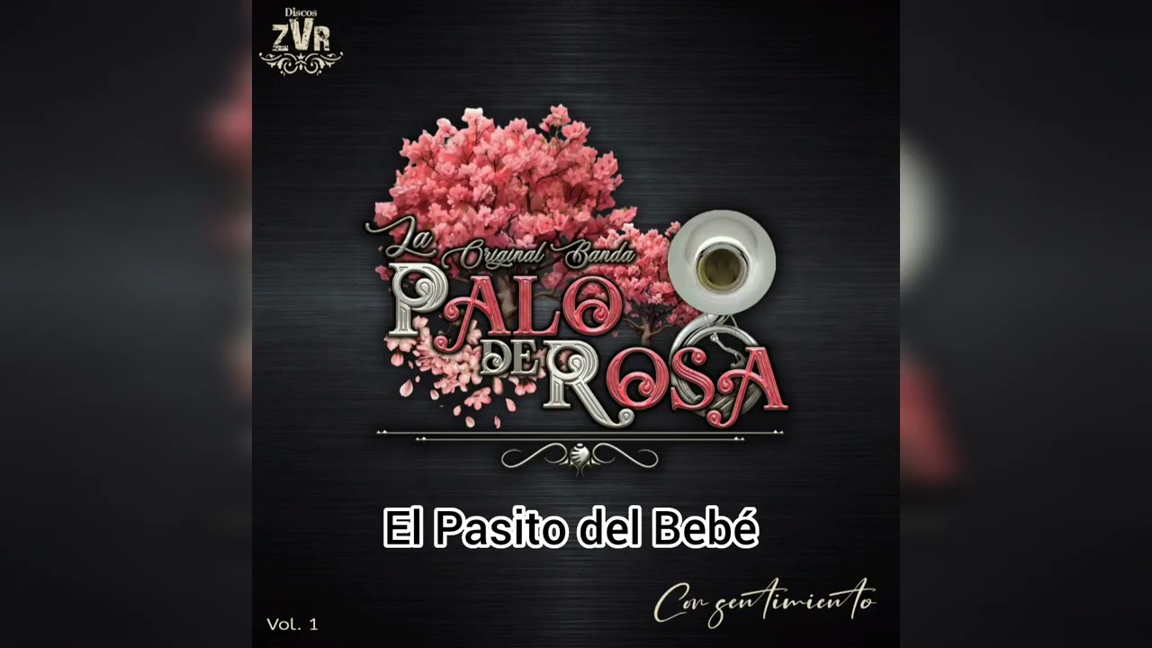 LA ORIGINAL BANDA PALO DE ROSA ÁLBUM VOL.1 CON SENTIMIENTO 2026 CD NUEVO