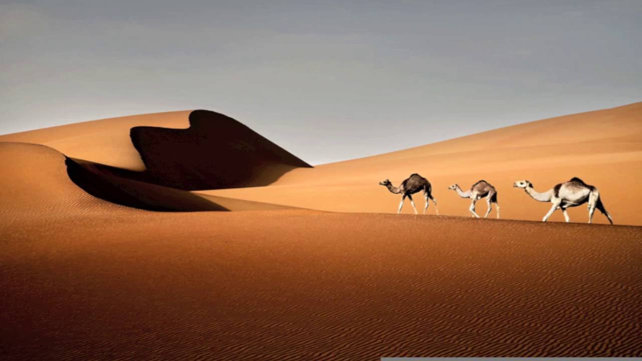 Damascus Arabic Club Music Mix Middle Eastern Music 2016