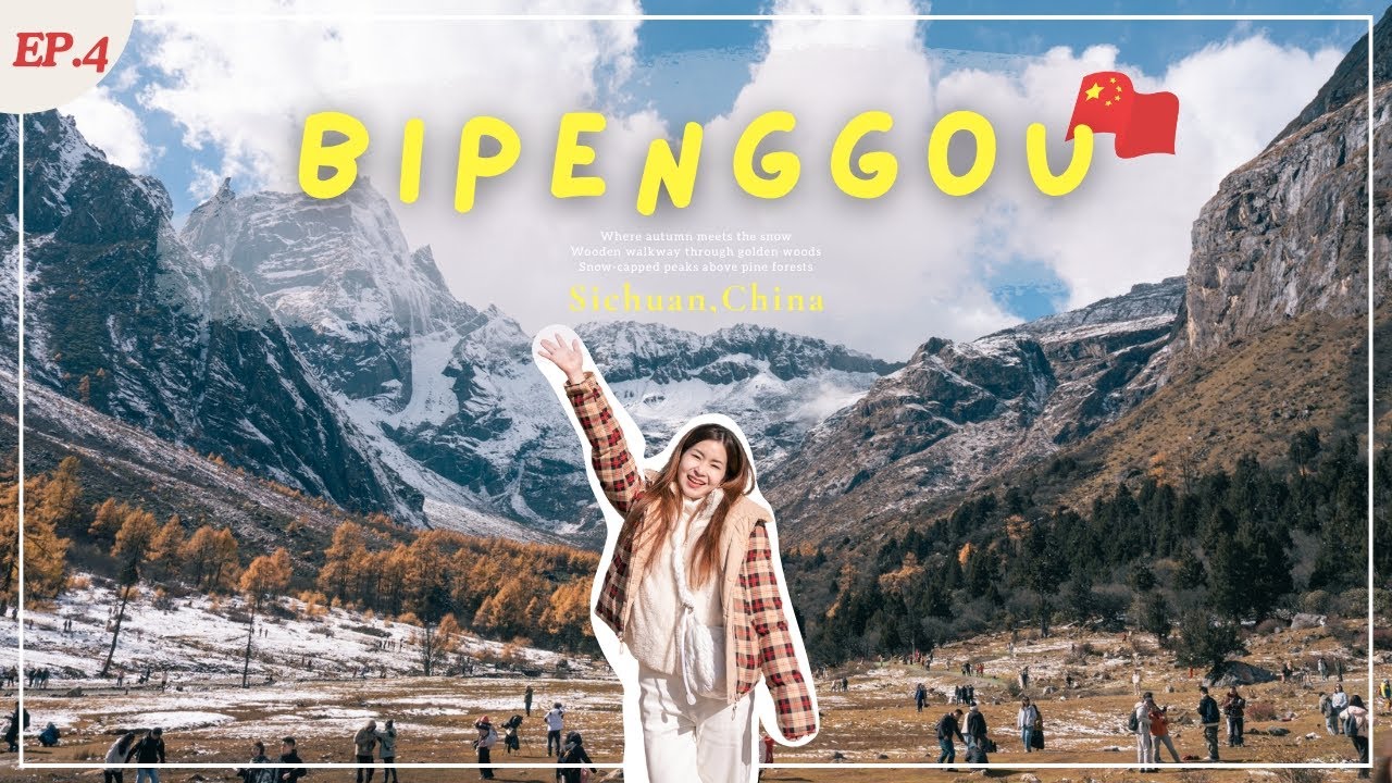 ปี้เผิงโกวเวอร์ชั่นที่พีคที่สุด ป่าสนเหลืองทองล้อมด้วยภูเขาหิมะ สวยจนหยุดหายใจ | Sichuan-Bipenggou