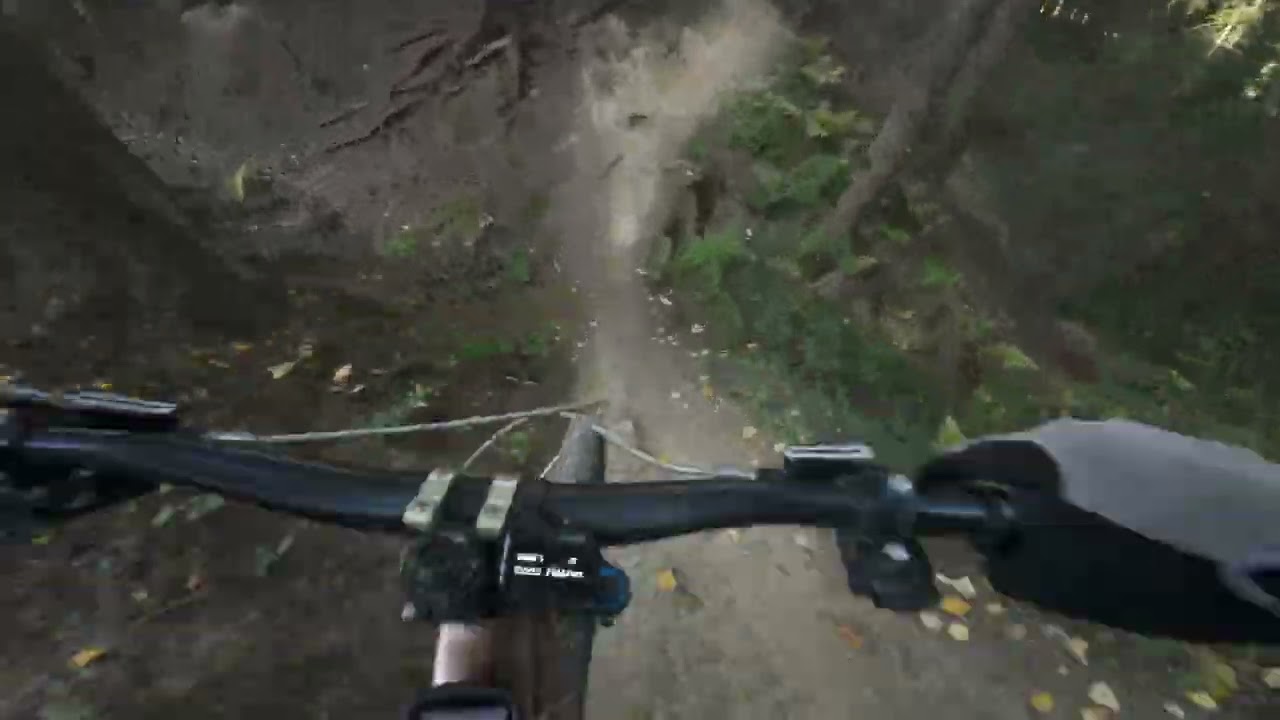 Jack  |  Rabka Trails