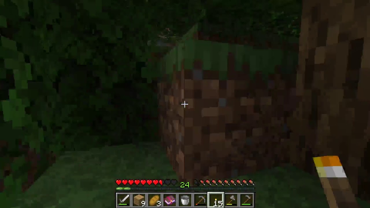 Minecraft Suro #1