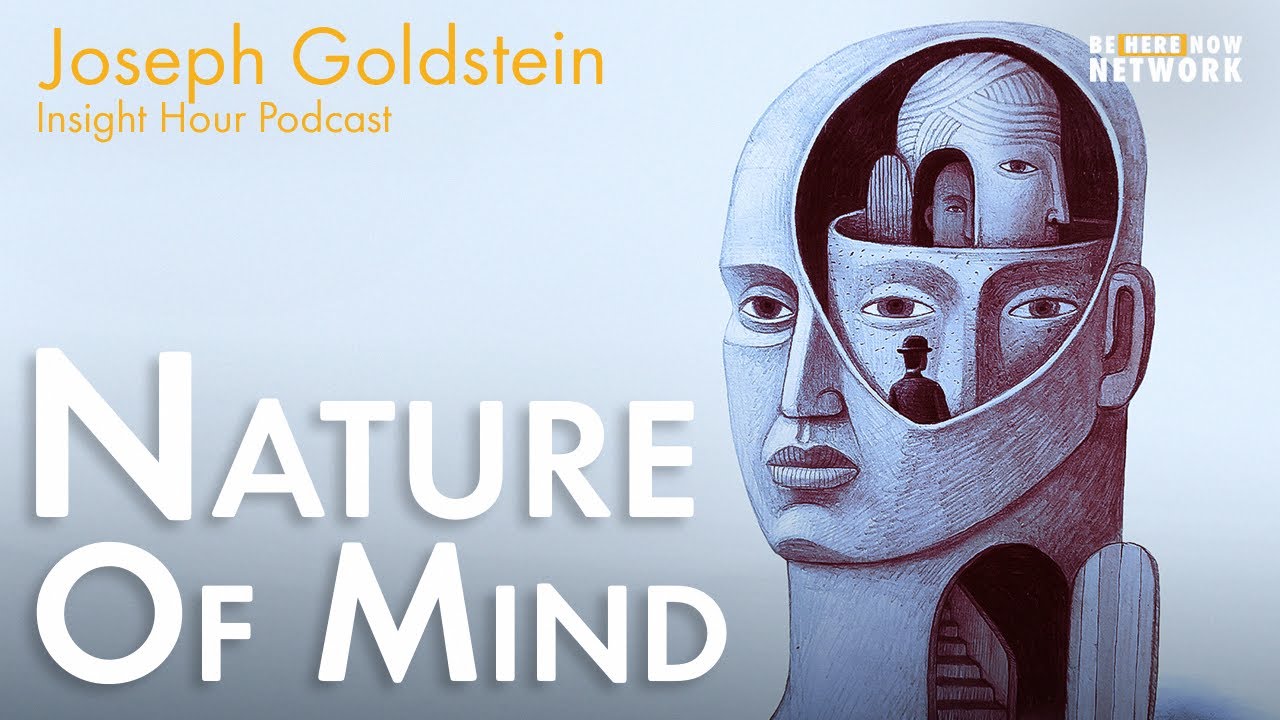 Joseph Goldstein on Nature of Mind - Insight Hour Ep. 150