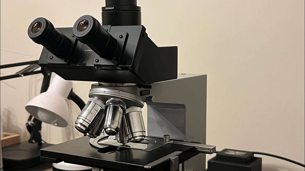 Leitz Dialux II Mikroskop