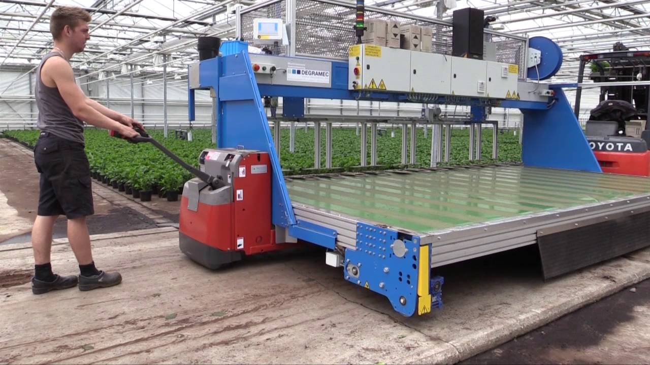 Perkplanten Gebr. van Straaten