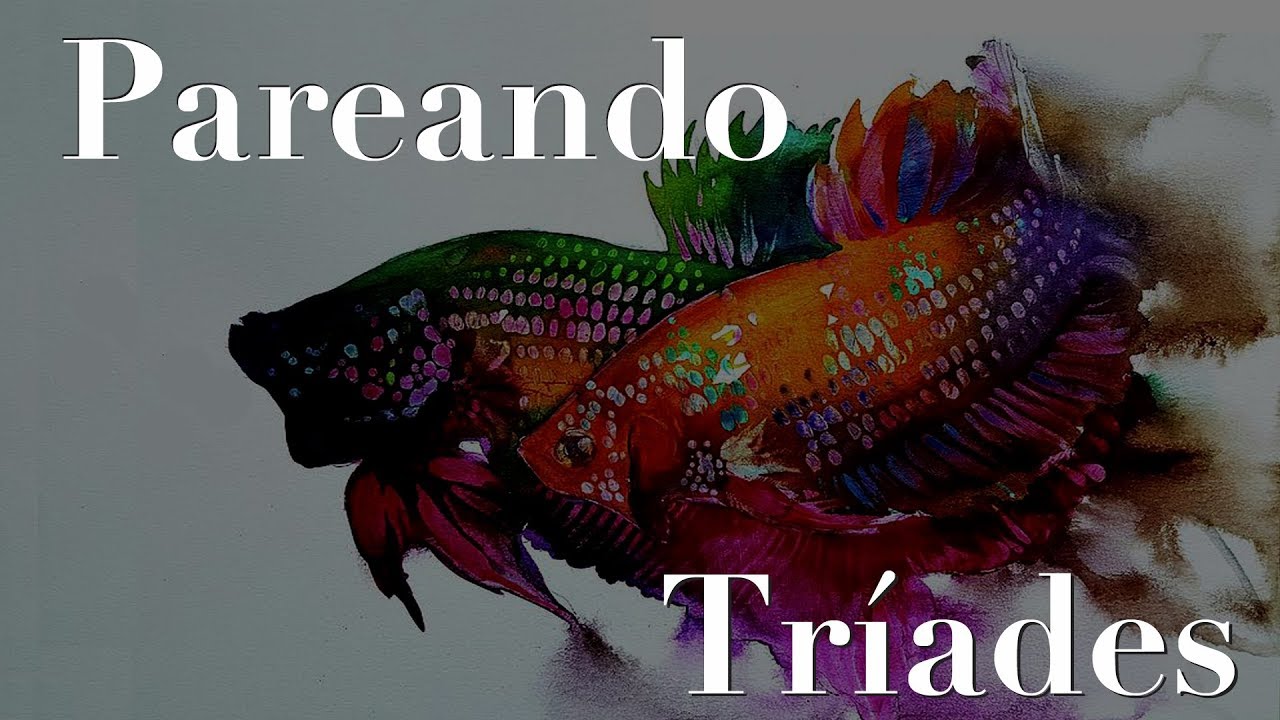 Pareando Tríades (construindo improvisos e melodias) Triads Pairing