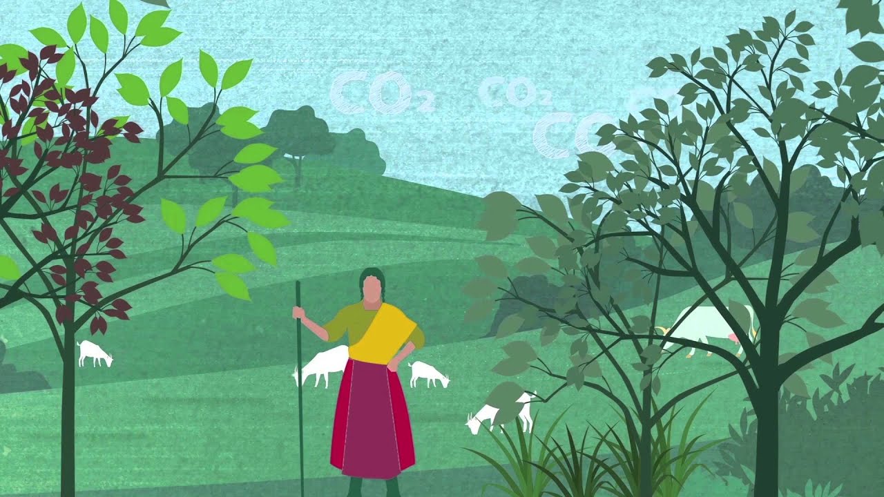Entendiendo la agricultura climáticamente inteligente