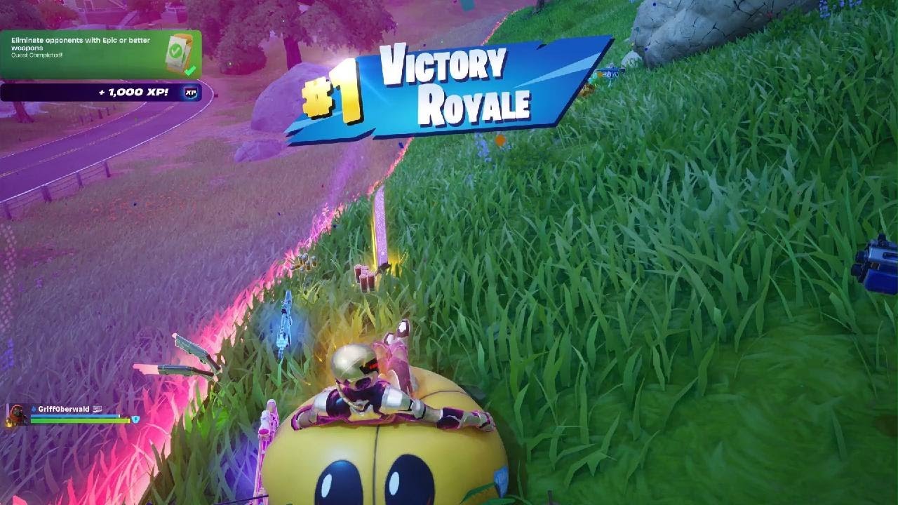 Fortnite: Duo Victory Royale (Chapter 7 Season 1)