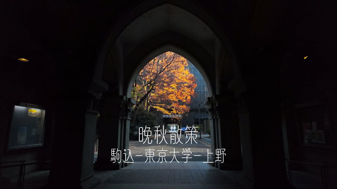 休憩時間10分【銀杏散策-東京大学】