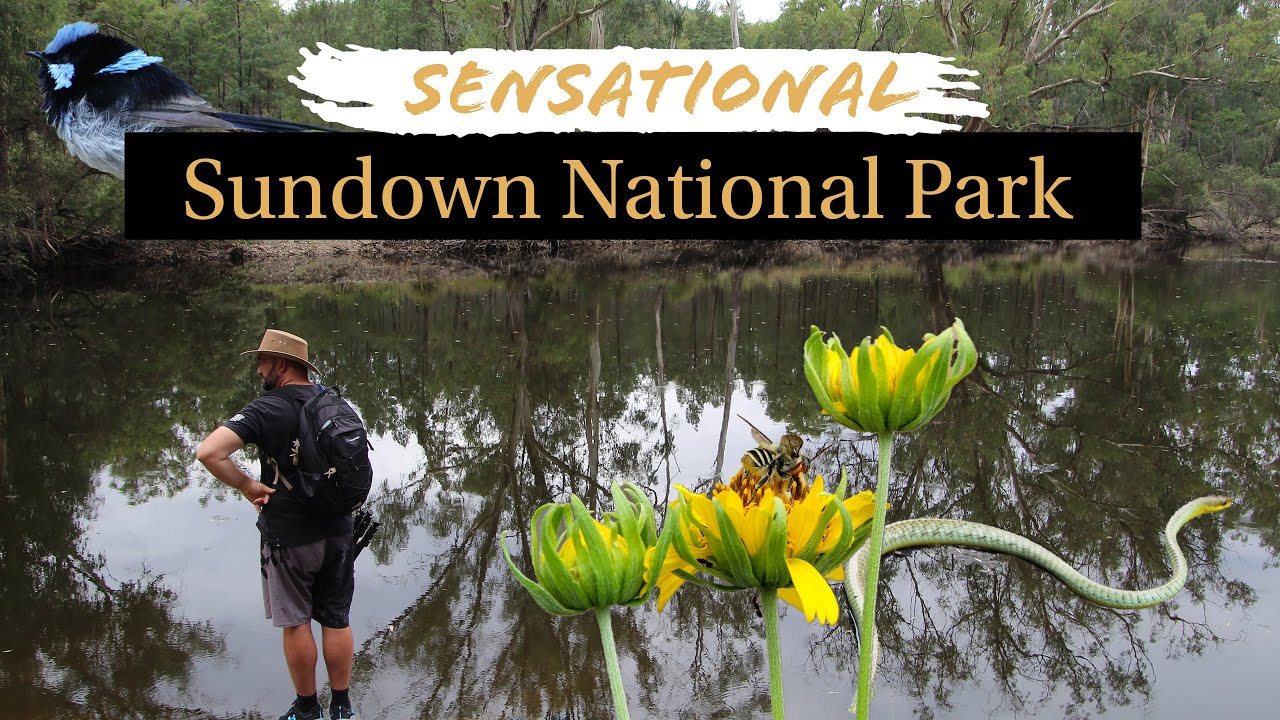 HIKE and CAMP: Sundown National Park, Broadwater Camping Area