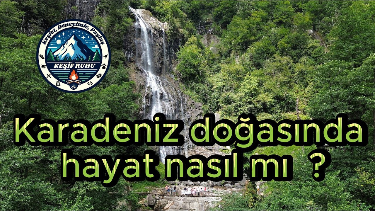 KARADENİZ DOĞASINDA HAYAT NASIL MI ?