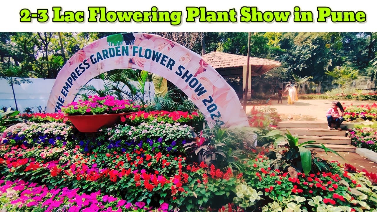 Empress Botanical Garden Flower Show 2024, Pune I एम्प्रेस बॉटॅनिकल गार्डन पुष्प प्रदर्शन पुणे 2024