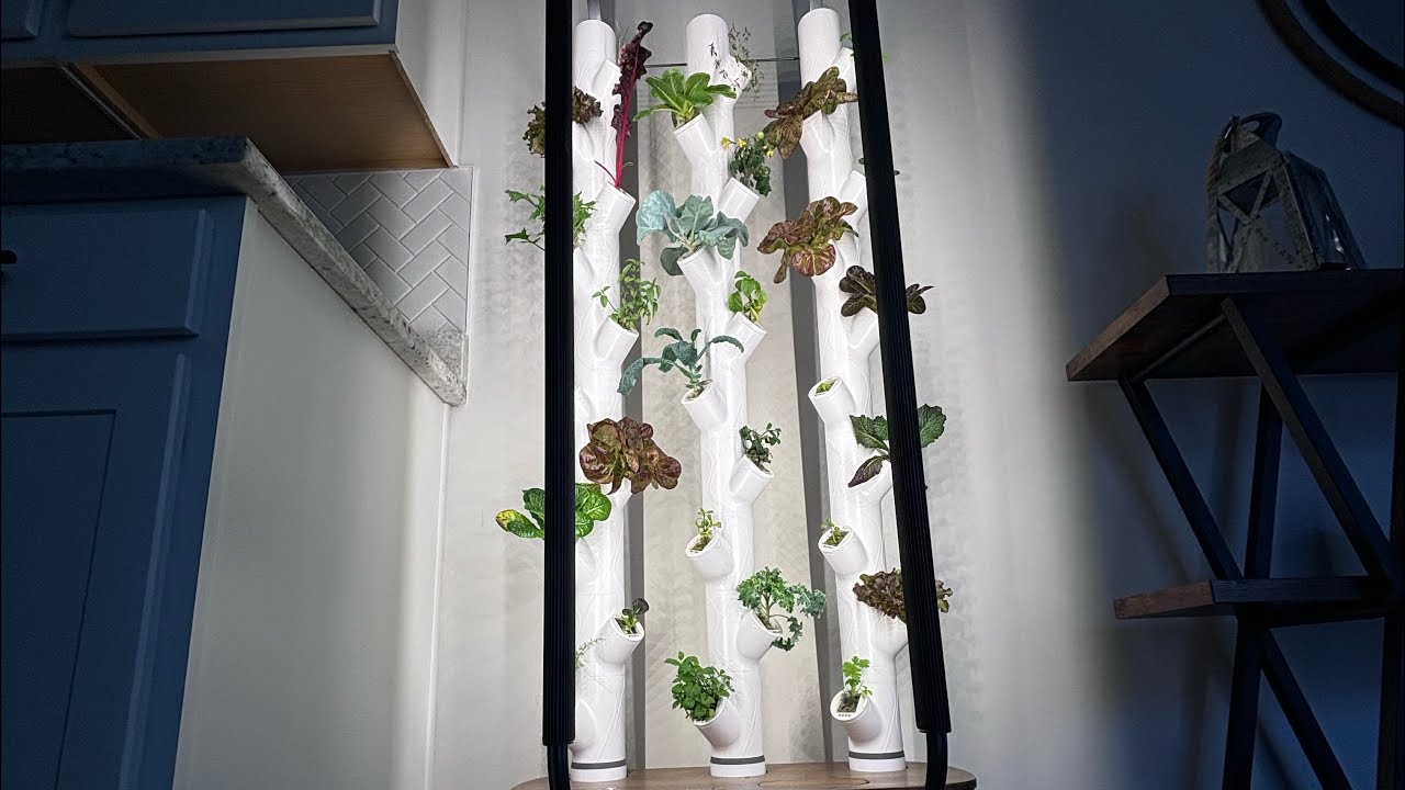 Gardyn 4.0 Review: Month 2