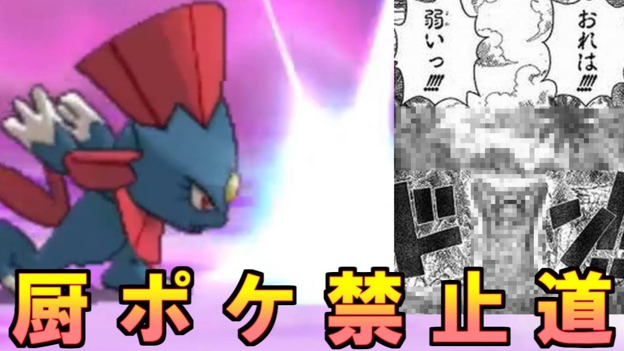 【ポケモンUSUM】このゲーム、難しすぎね？引退するわ【厨ポケ禁止道】