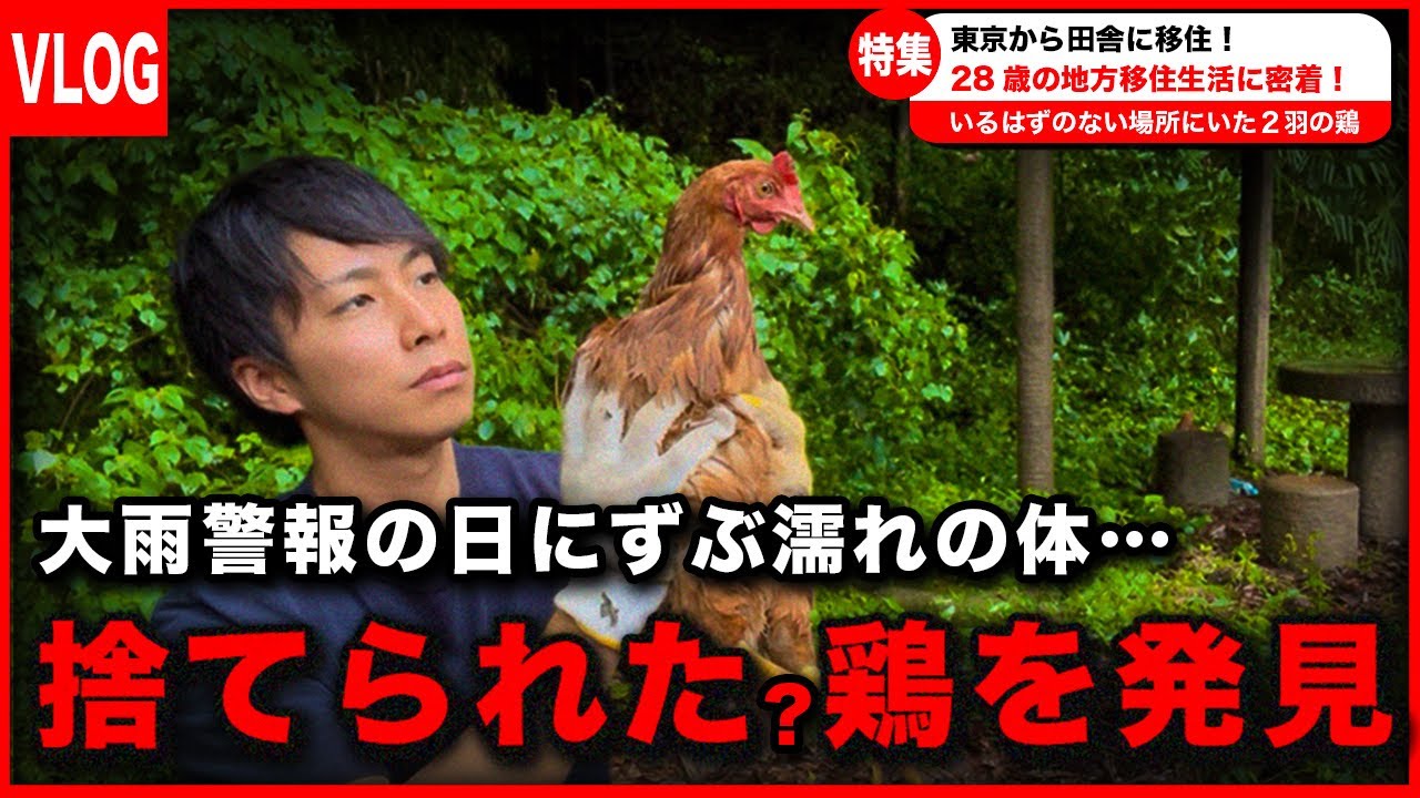 28歳 田舎暮らしの日常 / 大雨警報 / 不燃物処分 /  捨てられたニワトリ？【引っ越し準備第14話】【vlog】