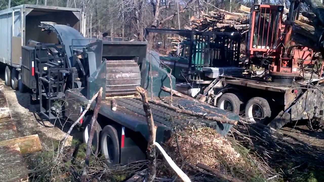 Woodsman 440 in Maine 3
