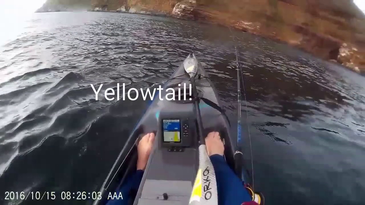 Yellowtail fishing of my kaskazi  dorado kayak