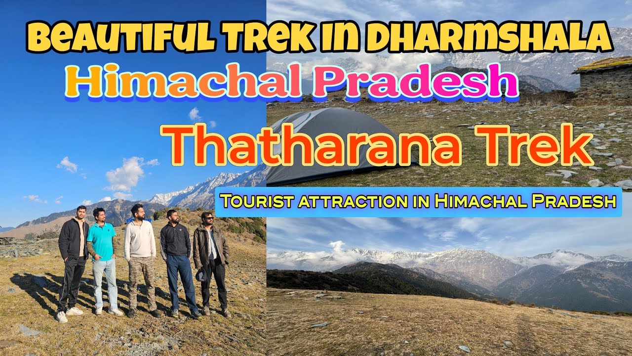 Beautifull Dharmshala Trek | Thathrana Trek In Dharmshala Himachal Pradesh | Beautifull Dharmshala