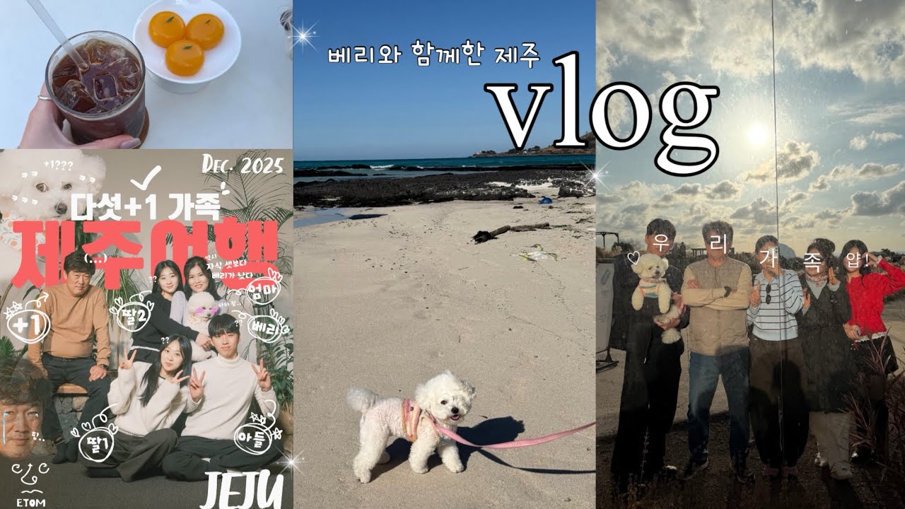 🇰🇷여행vlog| 설이네 완전체 가족여행 🍊💗