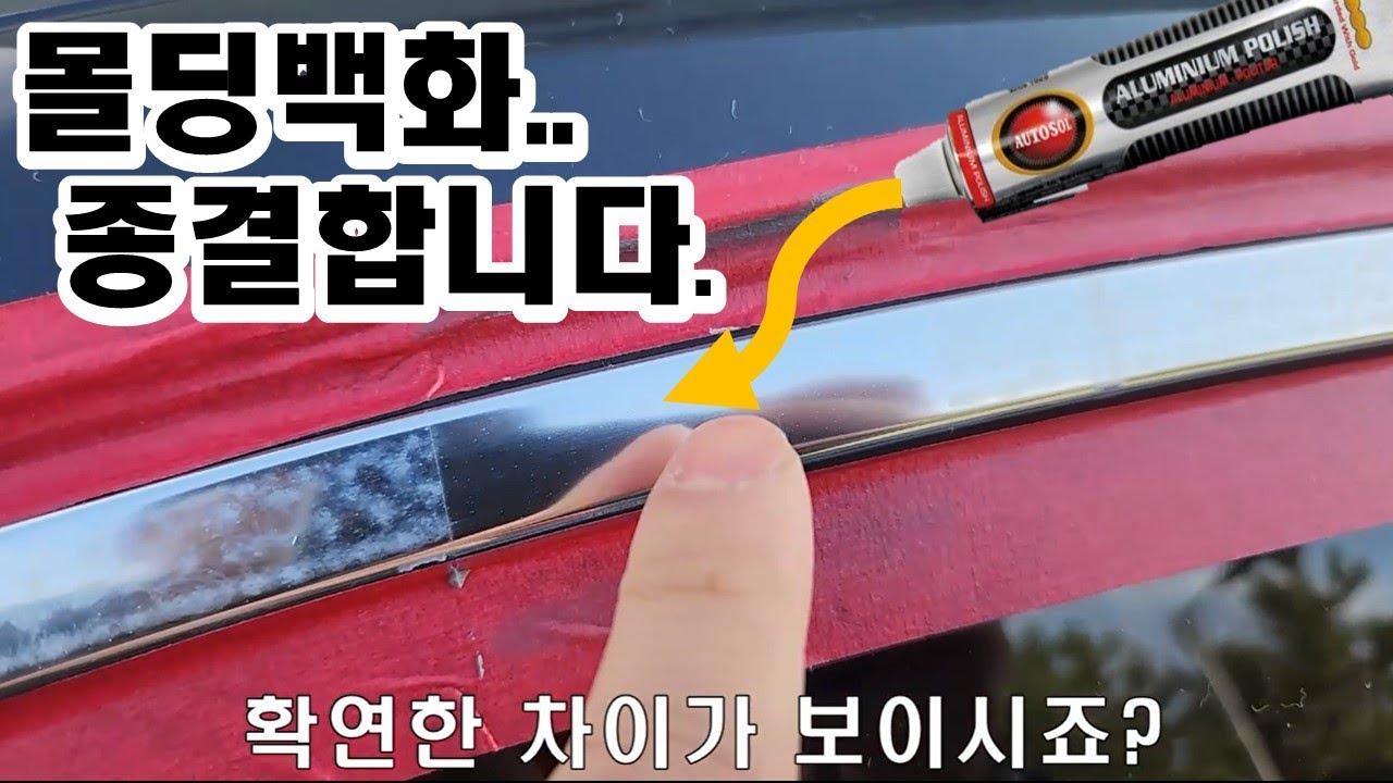 수입차 몰딩백화, 일반인 제거 영상(구매링크포함)