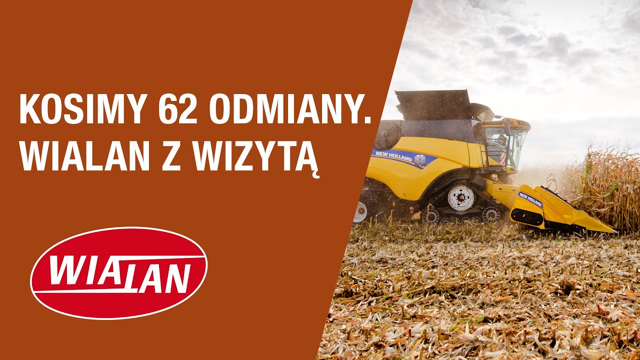 KOSIMY 62 ODMIANY!!! WIALAN z wizytą 27.10.2020