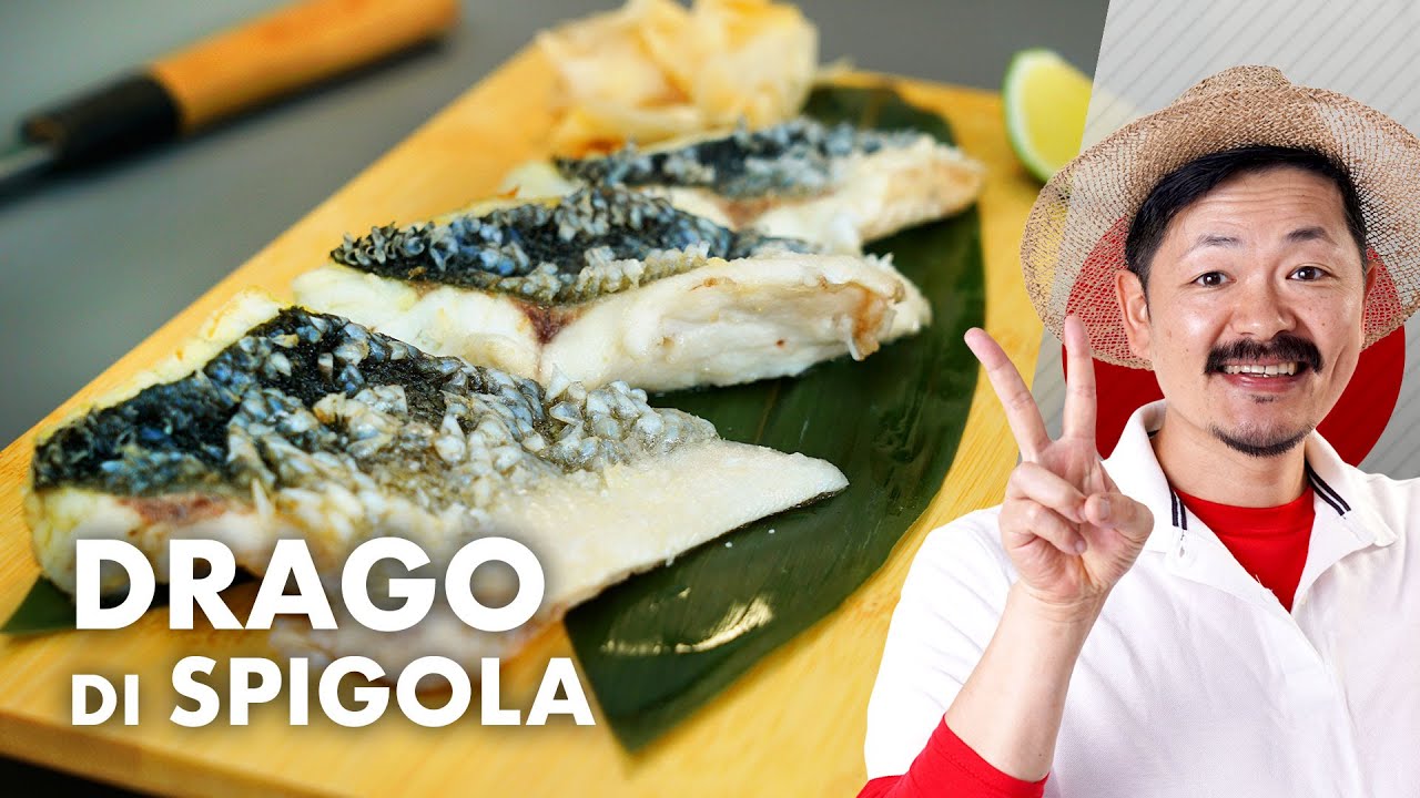 Drago di spigola *HIRO SAMPEI*