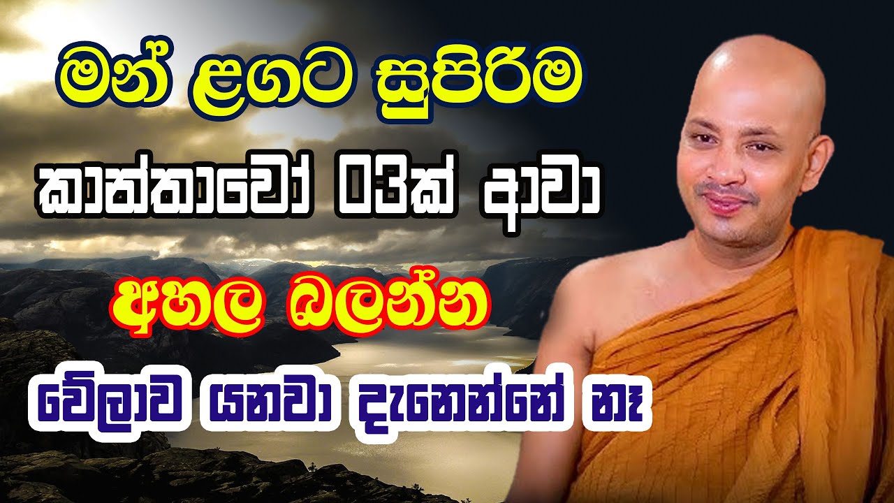 මට ලැබෙන්න තියෙන දේ තමයි මේ ගෑණි ගන්නේ | ලේ පිච්චිලාම නැතිවුණා | Borelle Kovida Himi Bana | gamana
