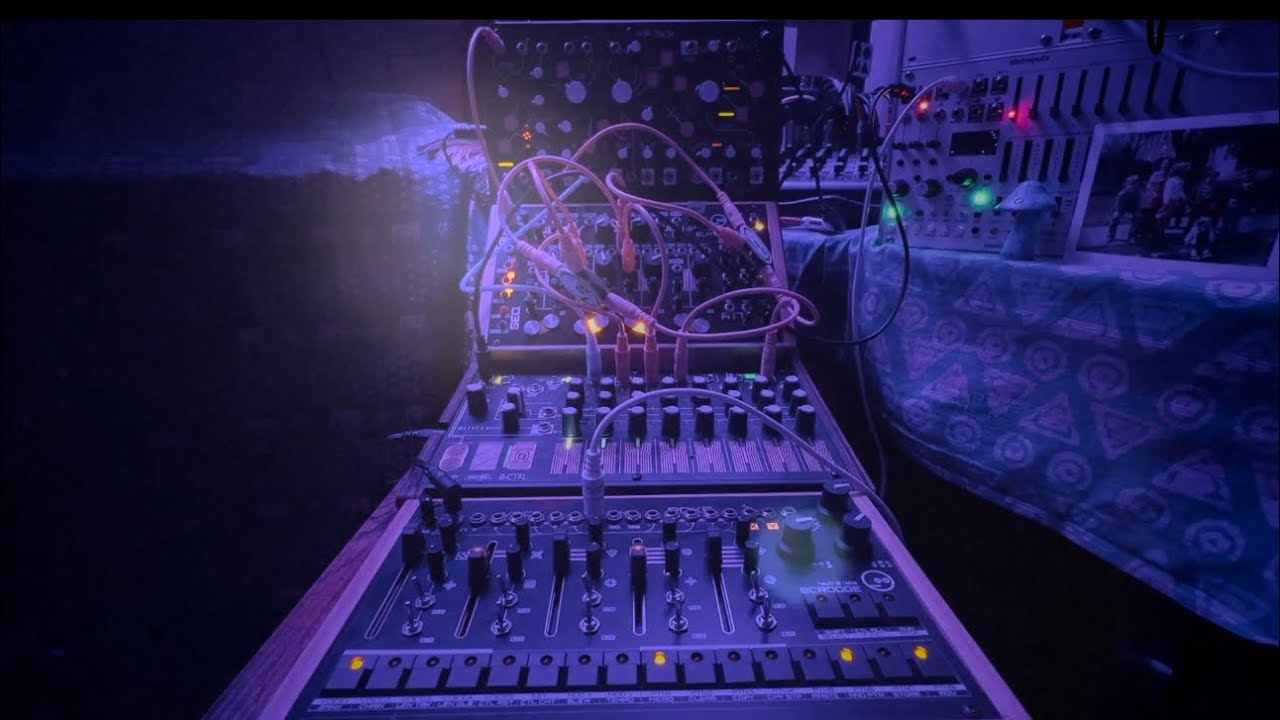 Dreambody /// Neutral Labs Scrooge, Elmyra, Make Noise Strega, 0-CTRL