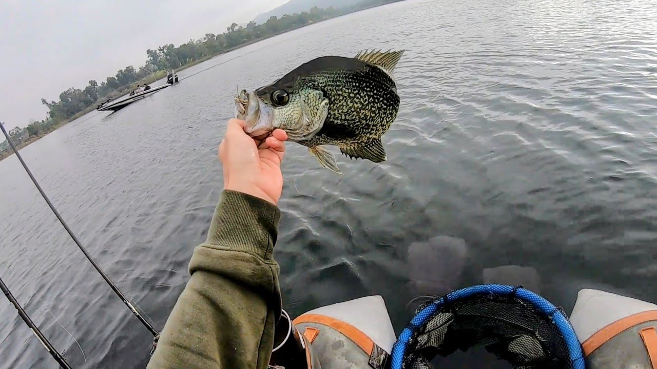 Magnum Spoon Catches Giant Crappie