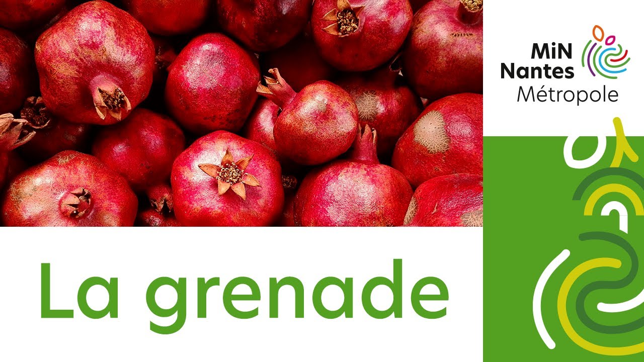 [Recette] Le grenade, un trésor de saveurs et de bienfaits