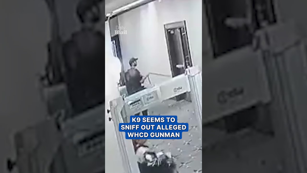 Stunning moment K9 dog appears to sniff out WHCD gunman