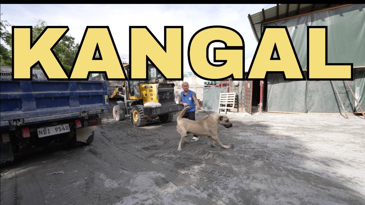 KANGAL
