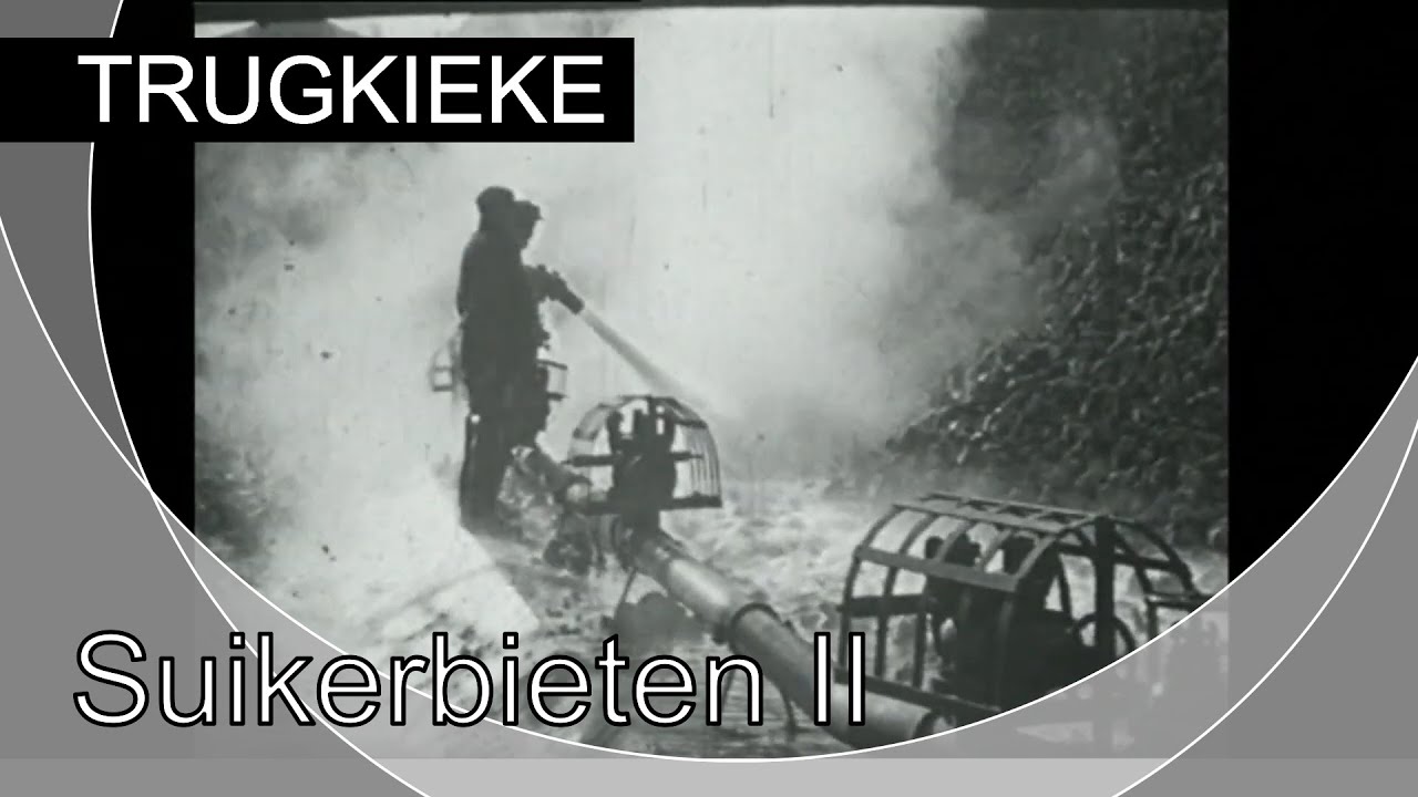 TRUGKIEKE Suikerbieten II