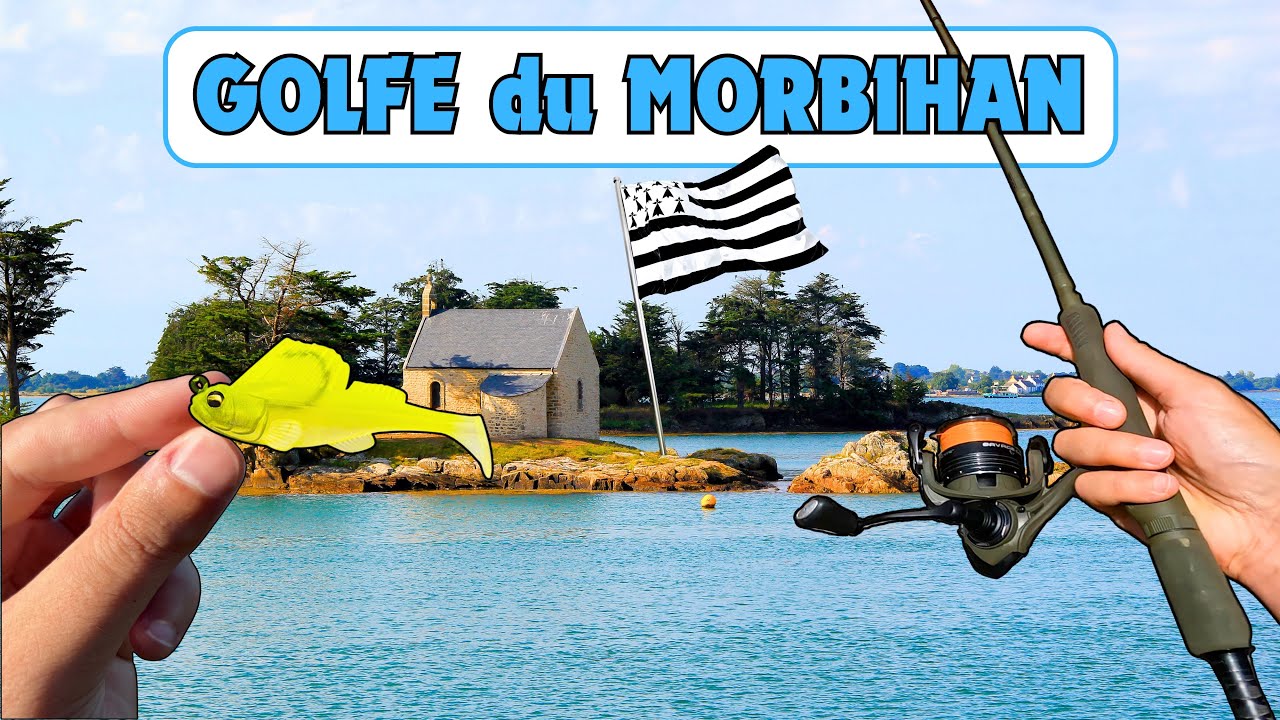 Pêche du Bar du Bord dans le GOLFE DU MORBIHAN : découverte d’une technique … (4K HDR)