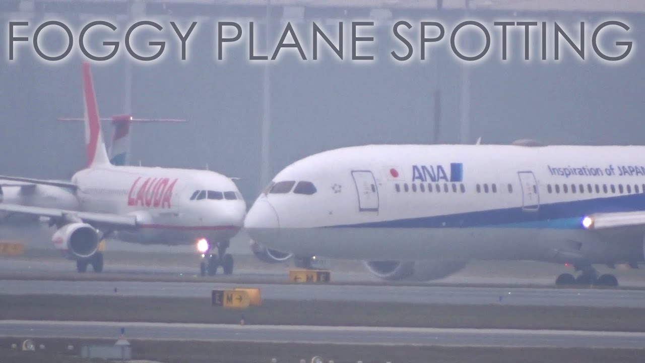 Vienna Airport VIE/LOWW Foggy Plane Spotting!