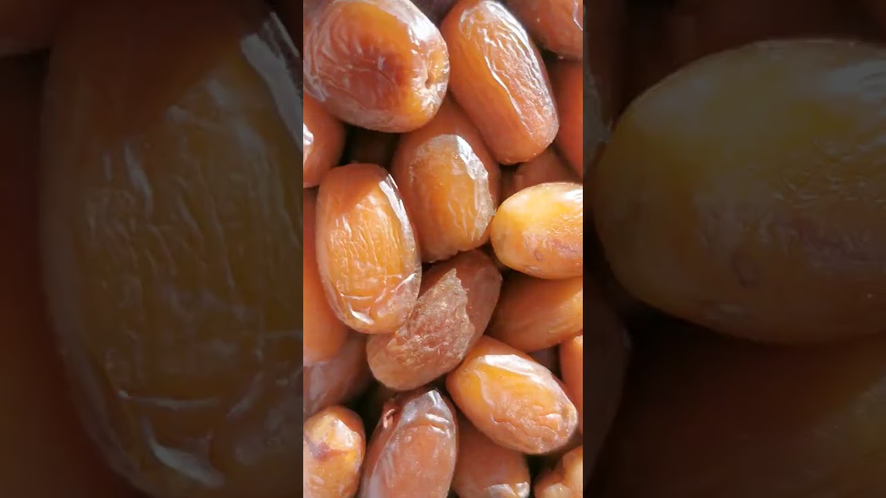 أنواع تمر المجهيل