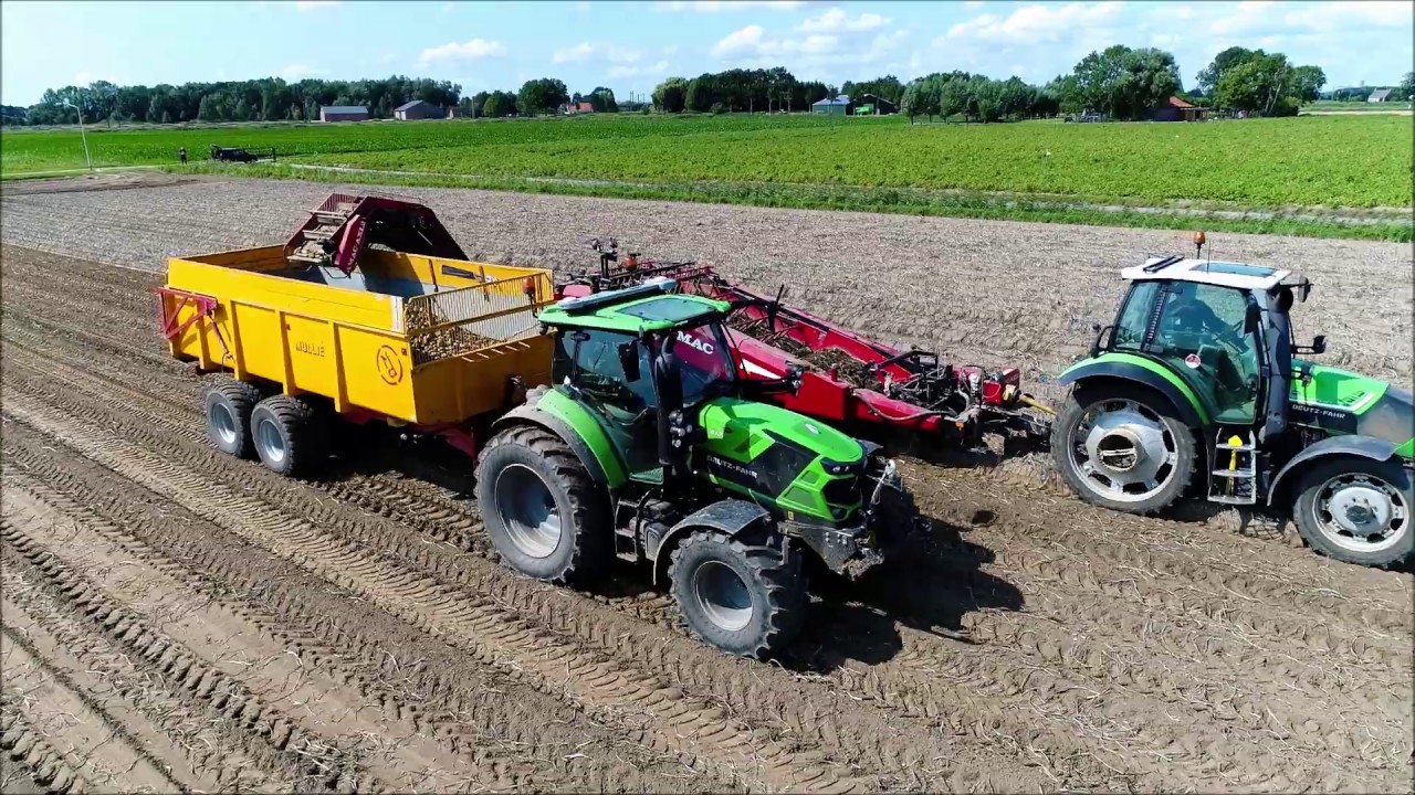 Aardappels rooien / Potato harvest / Kartoffeln ernten / Deutz-Fahr / Amac