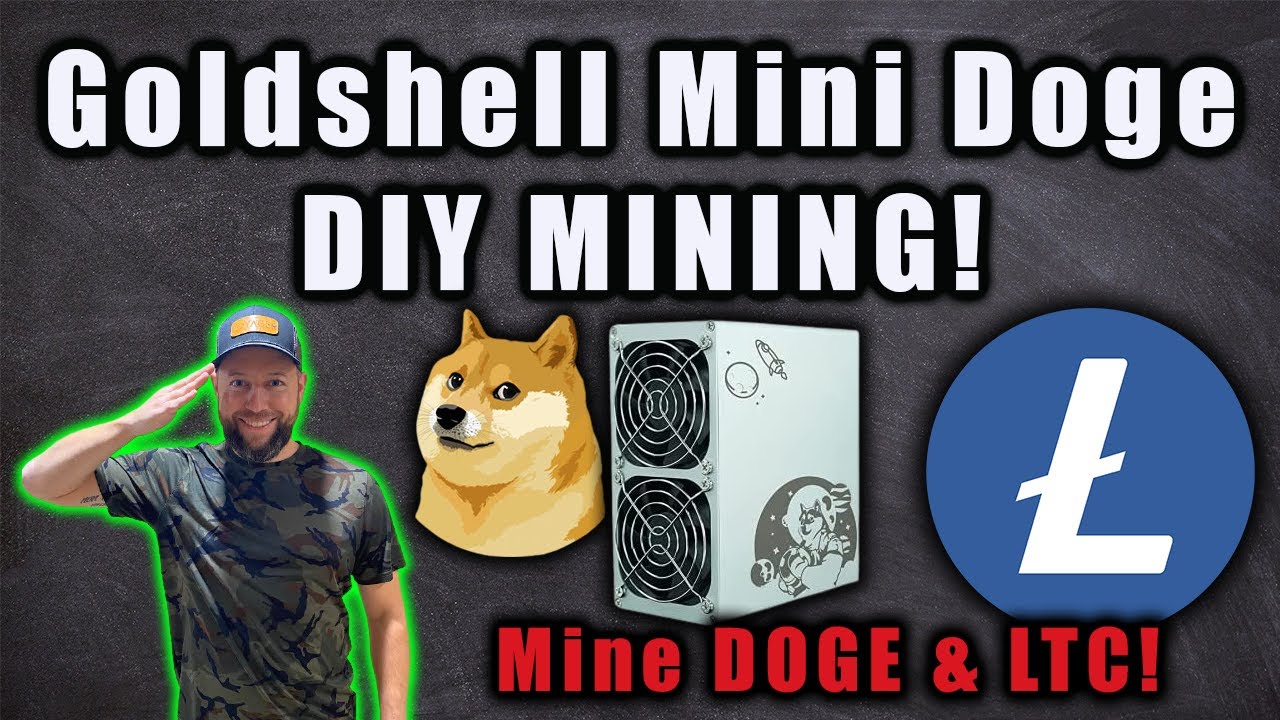 GOLDSHELL MINI DOGE MINER DIY | IS IT WORTH IT?!
