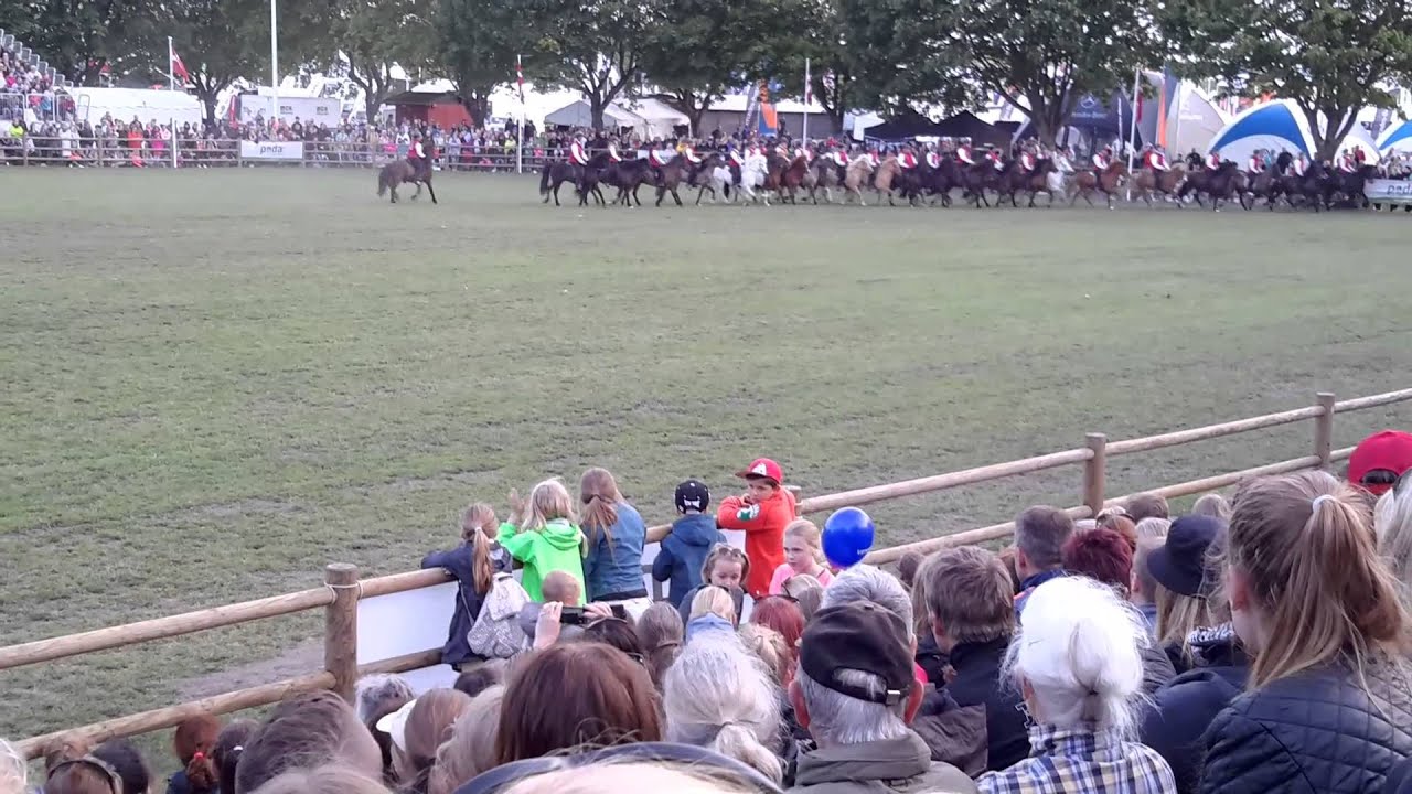 Faxi kvadrille Roskilde Dyrskue 2015